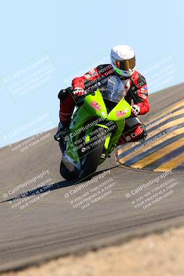 media/Feb-12-2022-SoCal Trackdays (Sat) [[3b21b94a56]]/Turn 12 (140pm)/